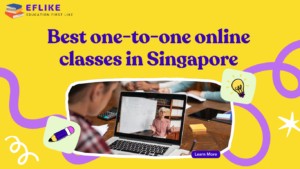 Read more about the article Best one-to-one online classes in Singapore-