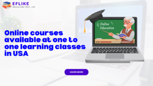 Read more about the article Online courses available at one to one learning classes in USA