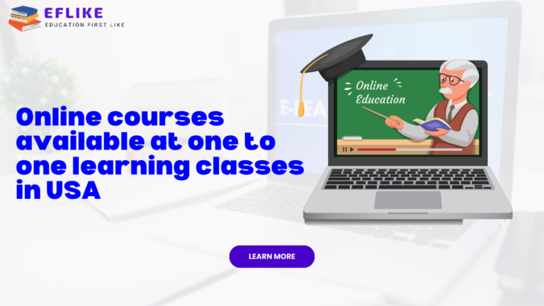 Online courses available at one to one learning classes in USA