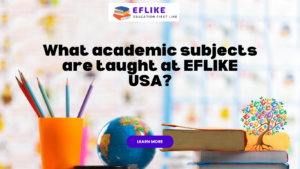 Read more about the article What academic subjects are taught for best online learning in USA?